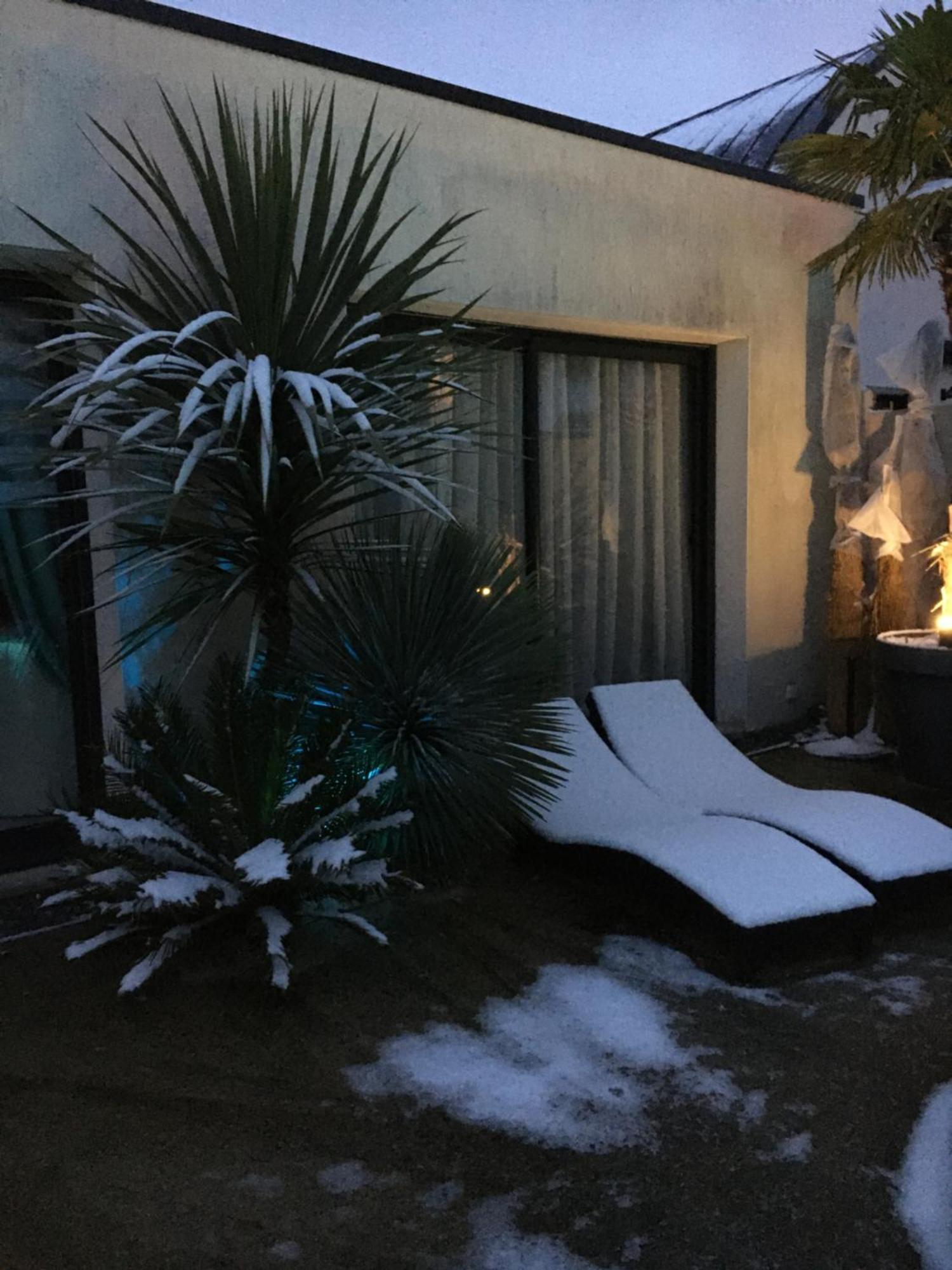 La Palmeraie Vannes Exteriér fotografie