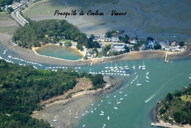 La Palmeraie Vannes Exteriér fotografie